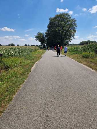 IMG-20220730-WA0050